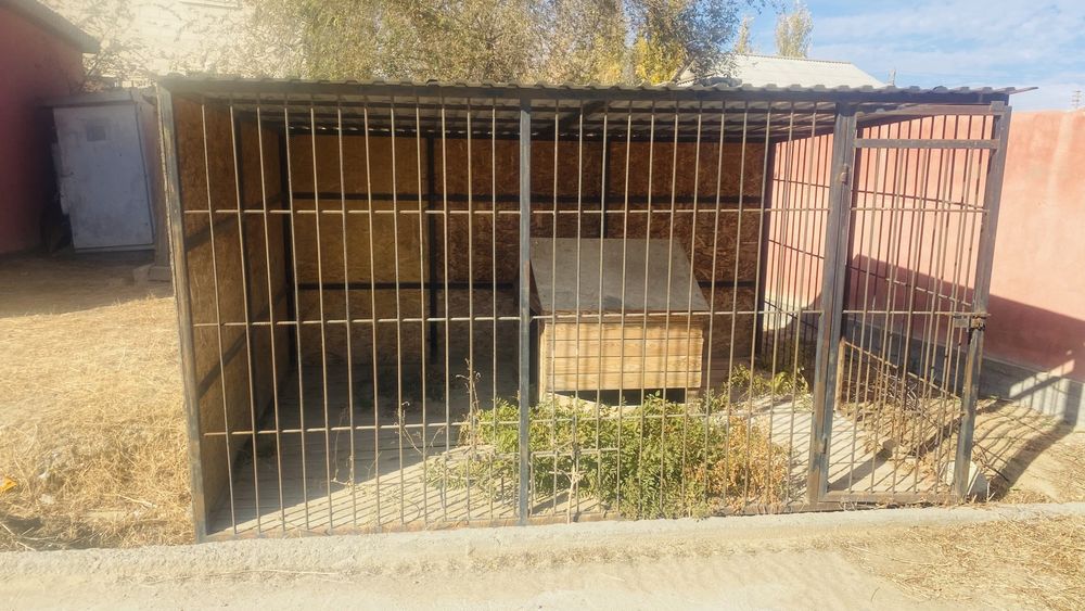 Боллер сатылады итке жаксы жагдайда Кульсарыда тел:8700/094/06/00