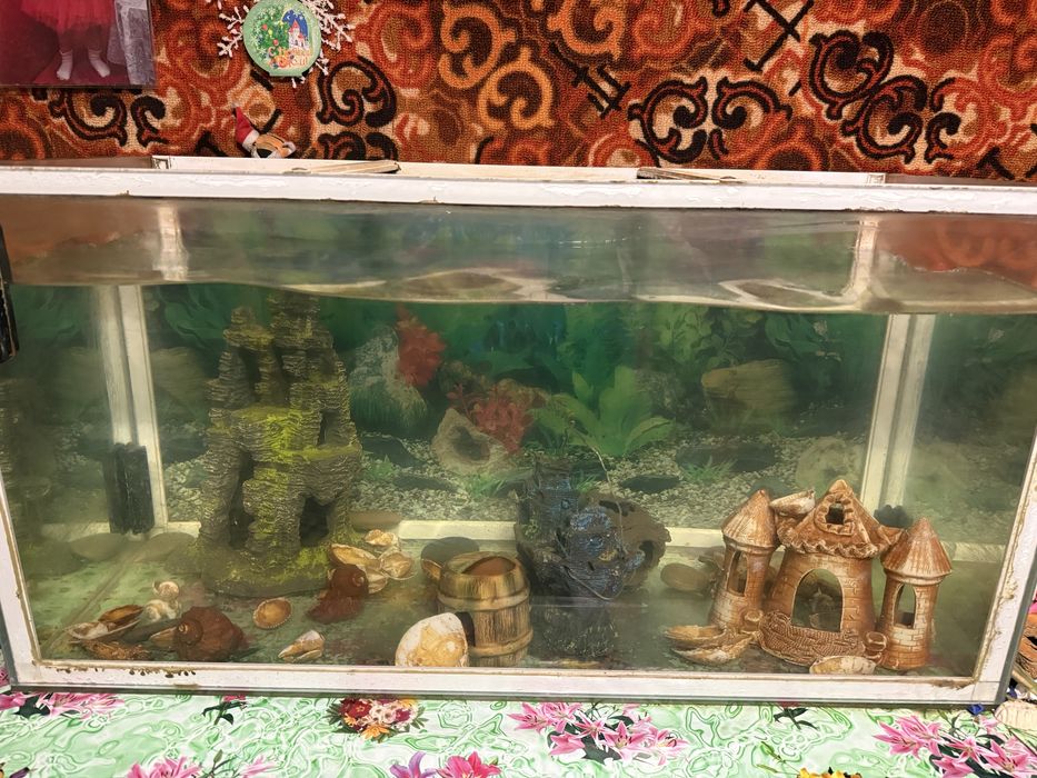 Продам аквариум 155 литров