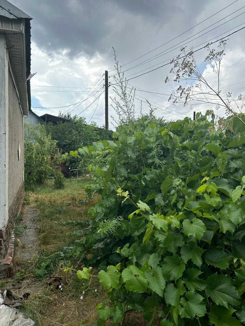 Продам дом-дачу срочно