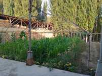 Tayyor issiqxona парник sotiladi