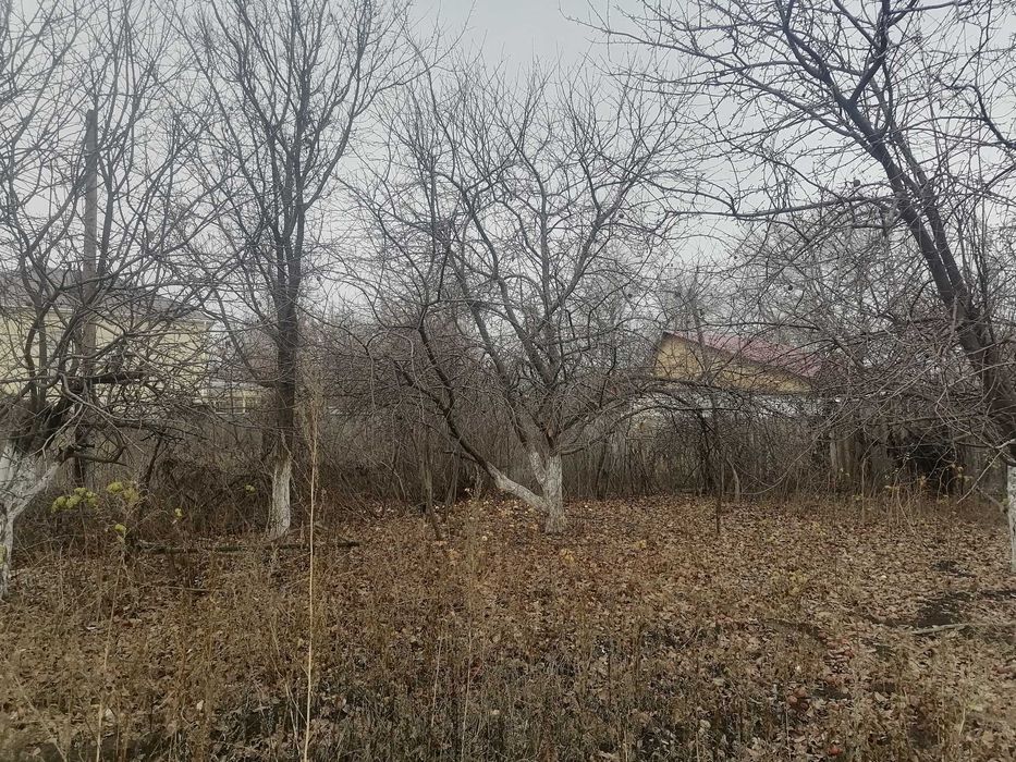 Дом инвалидов для строительства