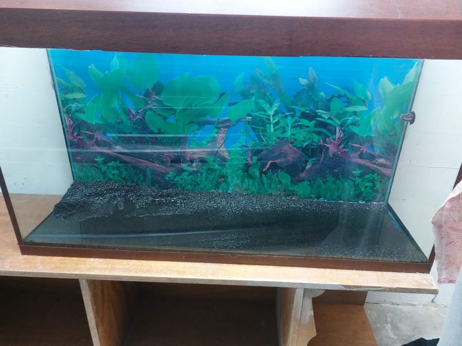 Аквариум срочно продаём