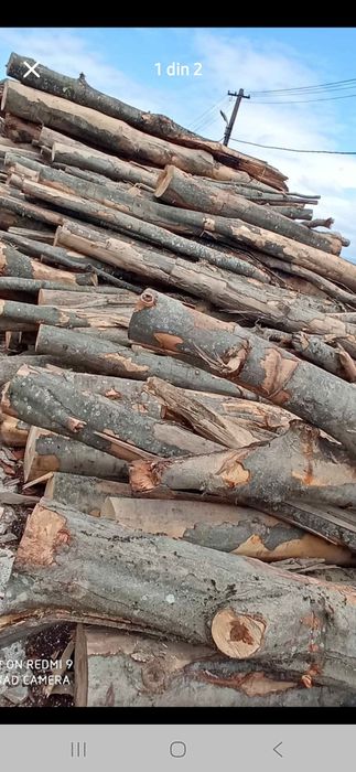 Lemne de vanzare 350 metru ster pentru mai multe detalii sunama