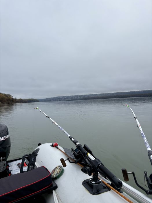 Barca Kolibri Profi KM 360 D - 2024 (Tego) + Peridoc neinmatriculat