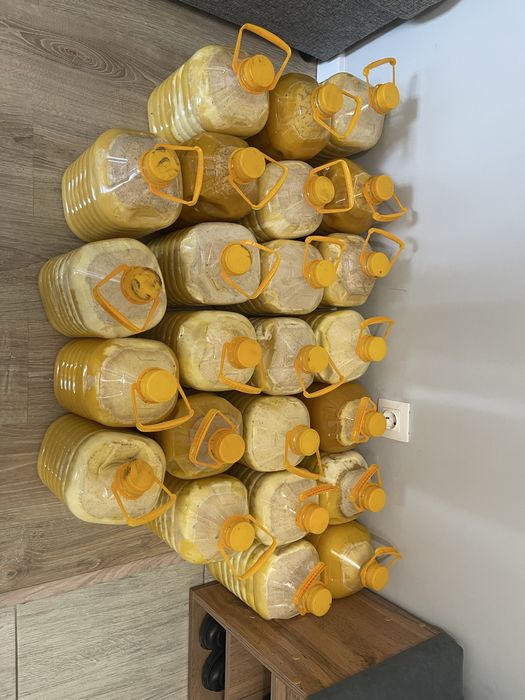 Мед чистый Катон-карагайский