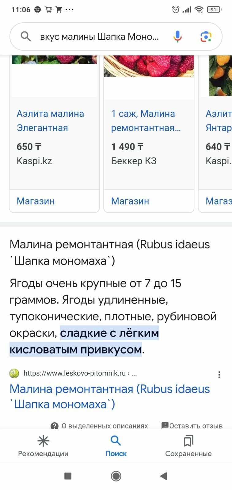 Продам саженцы малины