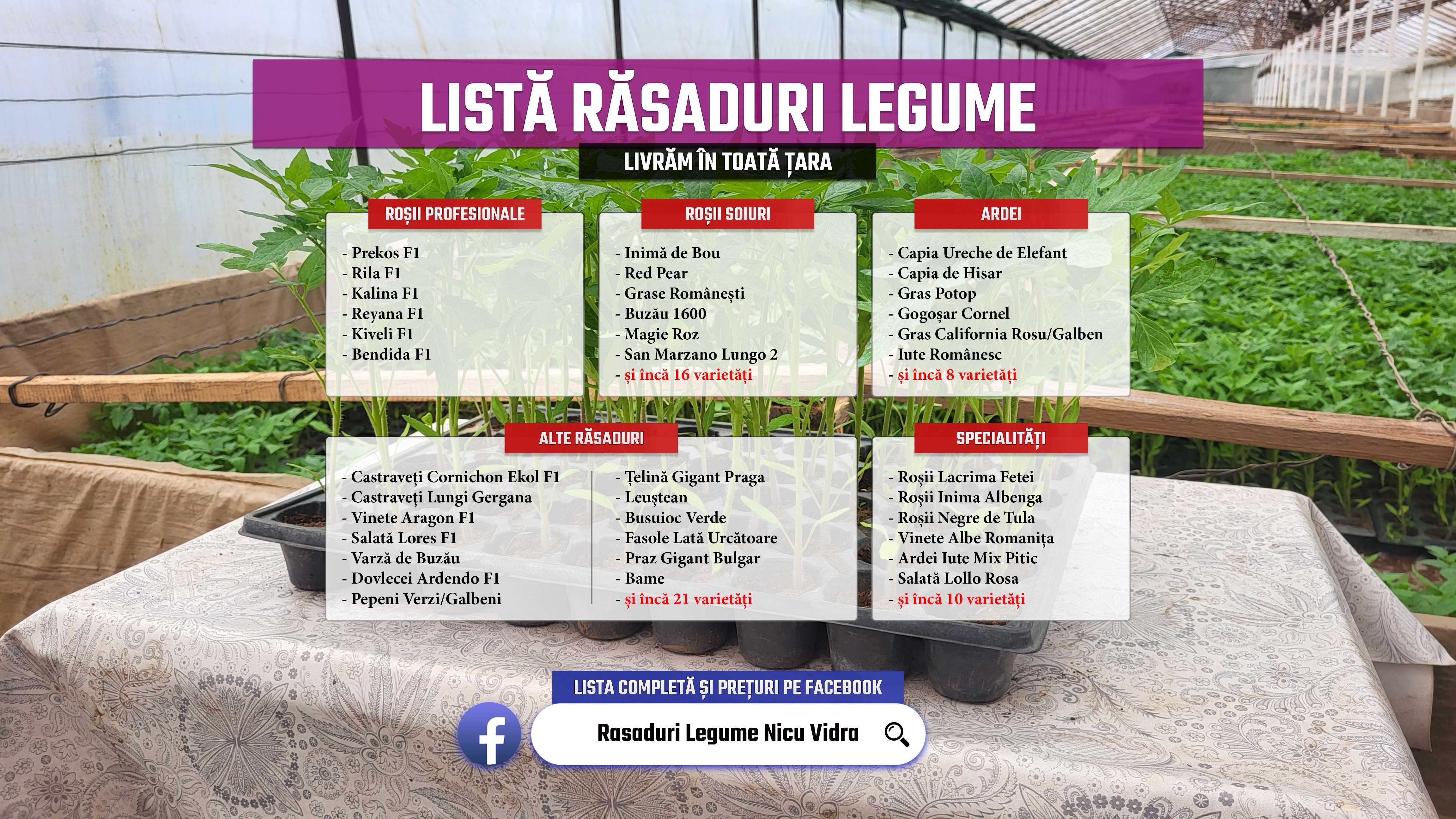 Vand Rasad | Rasaduri Rosii Rila Kalina Prekos Buzau Inima bou Cherry