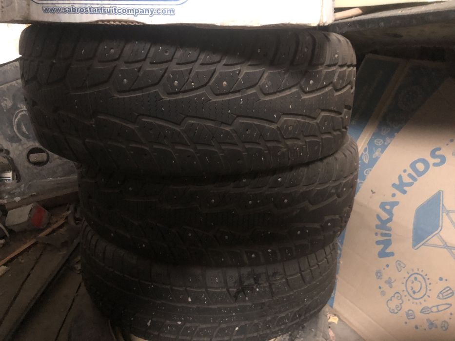 Шины зимние шипы ecovision