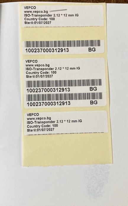 кученце,австралийска овчарка,мъжкар,на 4 месеца, ваксини,паспорт и чип