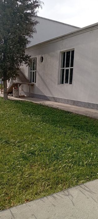 Naturar bino va yer bilan