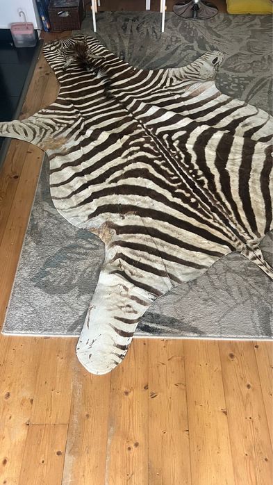 Piele de zebra naturala