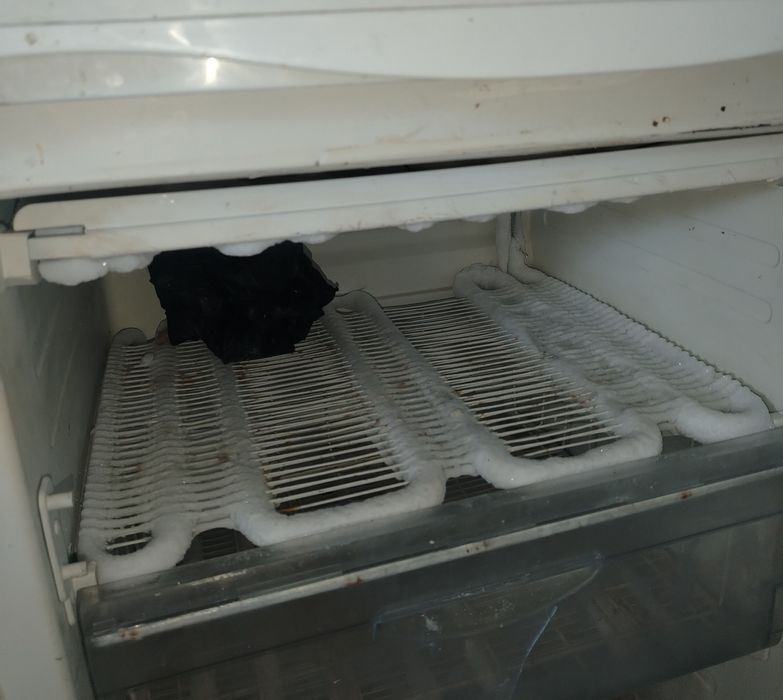 Xolodilnik, Sovutgich sotiladi