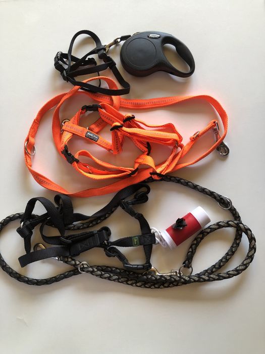 Lesa plus ham flexi-AniOne