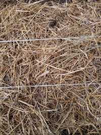 Baloți lucerna amestecata cu iarba 14 ron