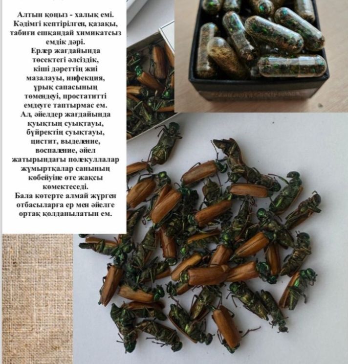 Алтын коныз Майски жук
