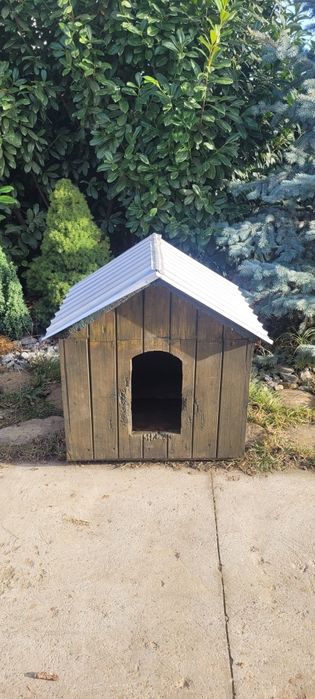 Cușcă cățel/coteț talie medie-mare