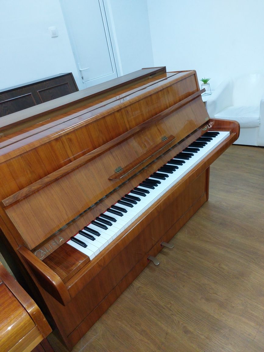 Pianina Calisia (transport gratuit, garanție)