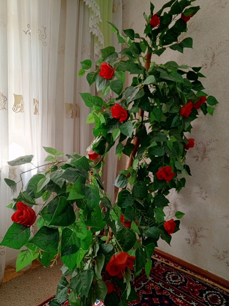 Декоративное дерево роза