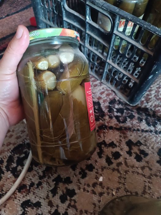 салони бодринлар дамашни