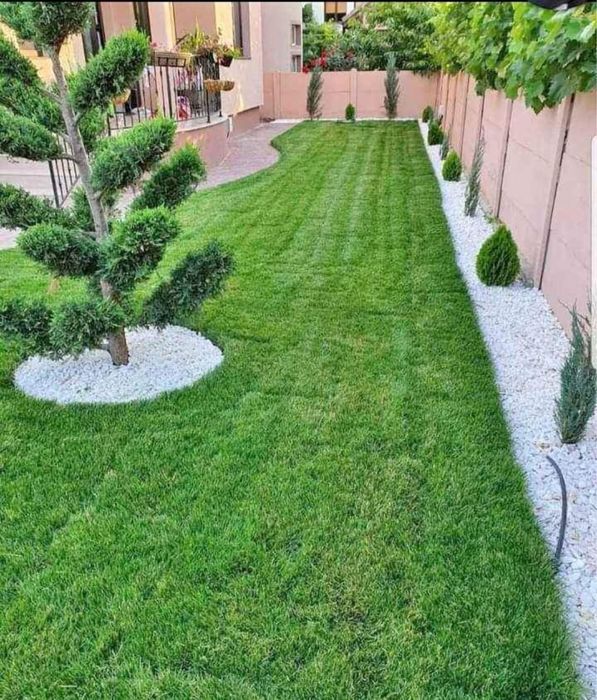 Plante ornamentale naturale