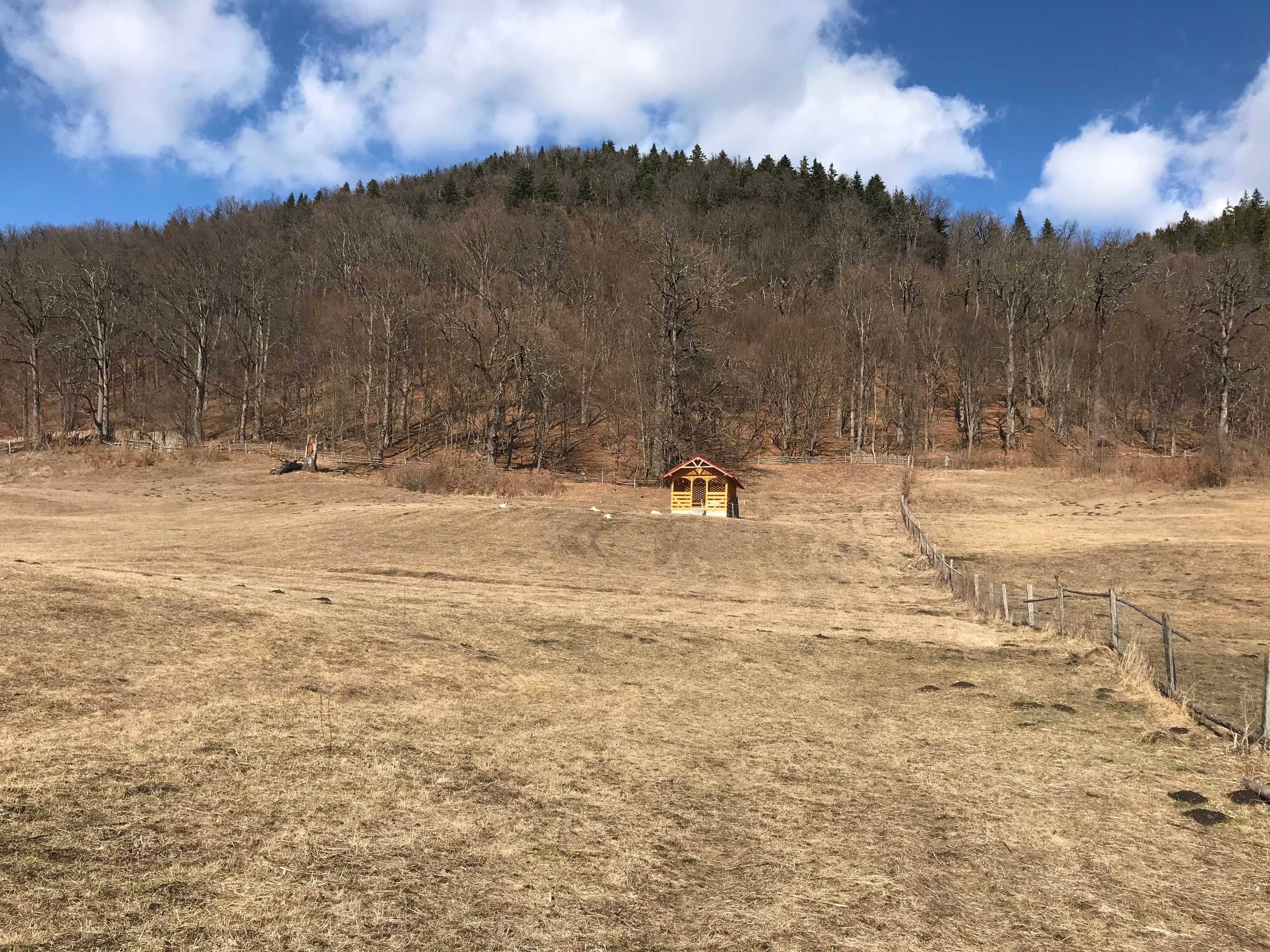 Teren intravilan + foisor de vanzare in zona Lacului Cuejdel