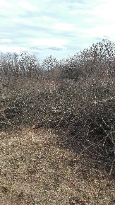 Косене на трева в градини,дворове,вили,парцели.Почистване и извозване.