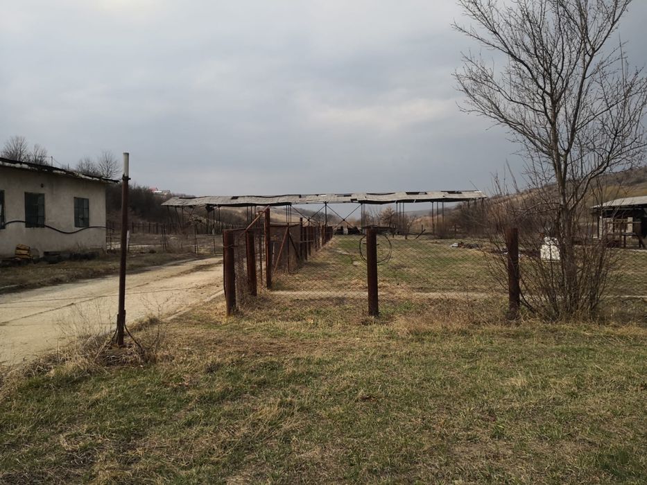 Teren de vanzare intravilan