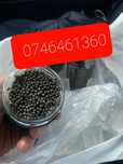 Icre negre caviar proaspete -pret mic