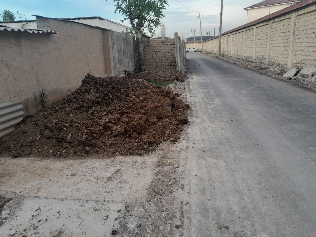 Mol gongi bor tayyor ogit tekin wundoq yol yuzida opketsela boldi pul