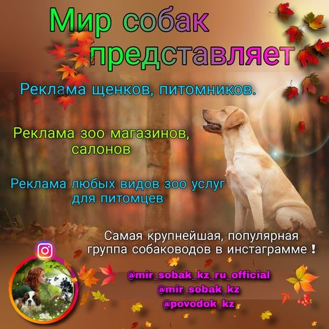 Собаководы Казахстана
