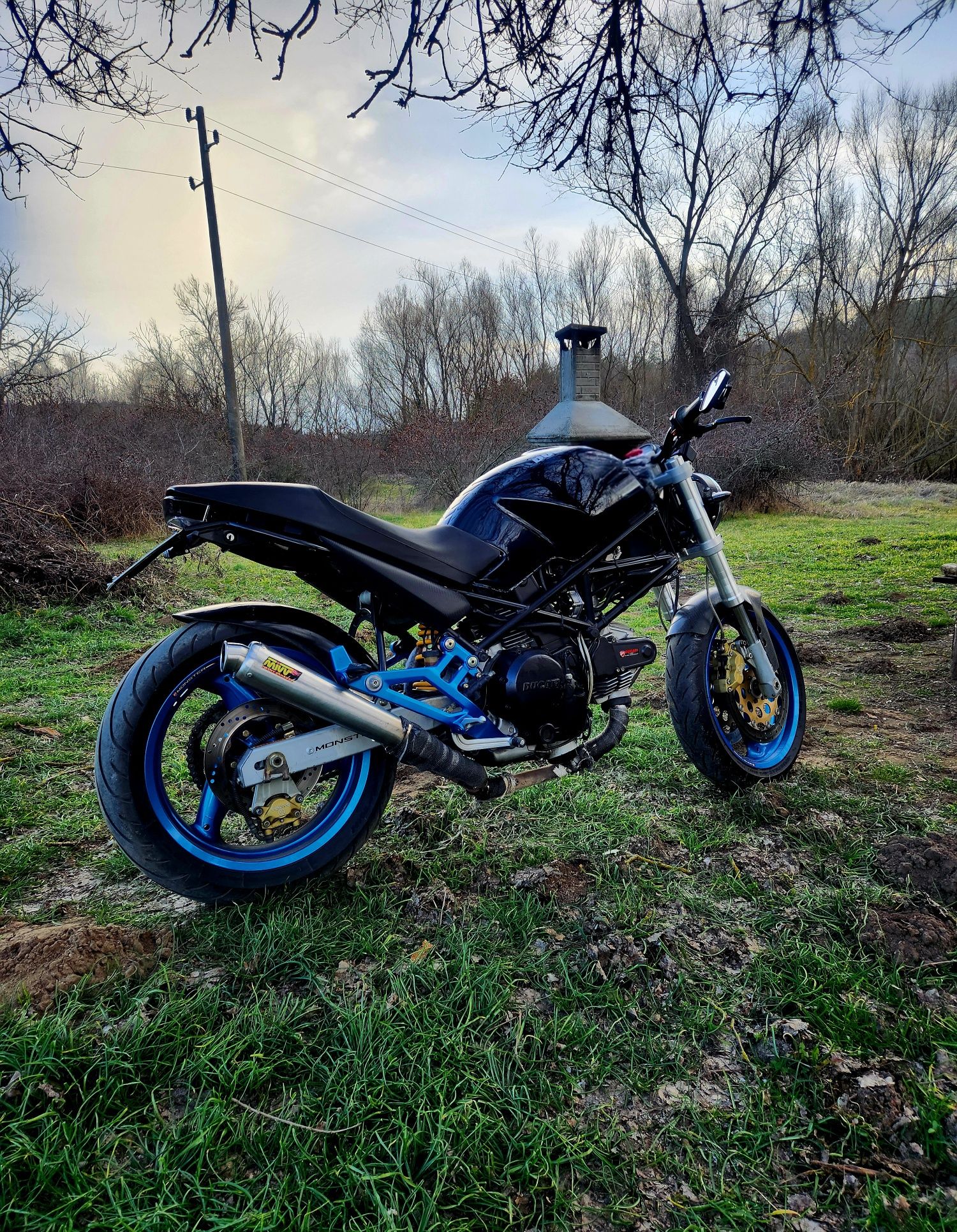 Ducati Monster 600