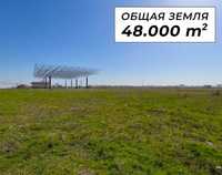 Yer sotiladi, 48.000 m². Quyichirchiq tuman, Surum MFY. +Naves va ofis