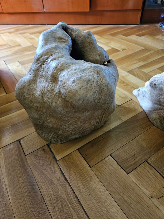 Декорация за дома и градината