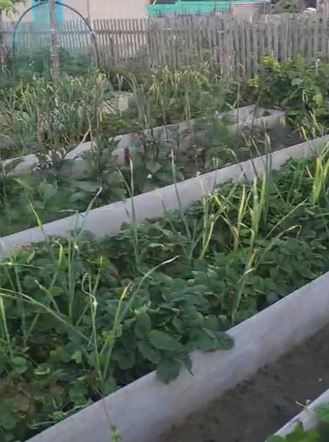 Продаётся дача в с/обществе «ЛАДА»