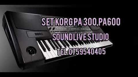 Set korg pa 600 complet cu introduceri