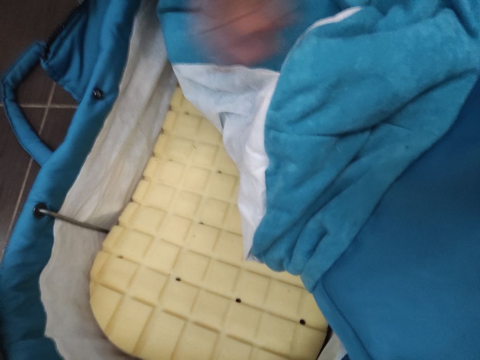 Landou hauck/teutonia   -copii