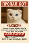 ПРОПАЛ КОТ помогите найти,авиагордок