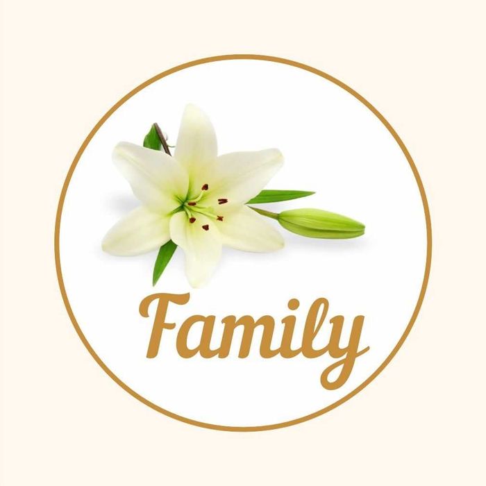 Салон красоты FAMILY - Парикмахеры (М/Ж/Д) Массаж, Косметолог, Маникюр
