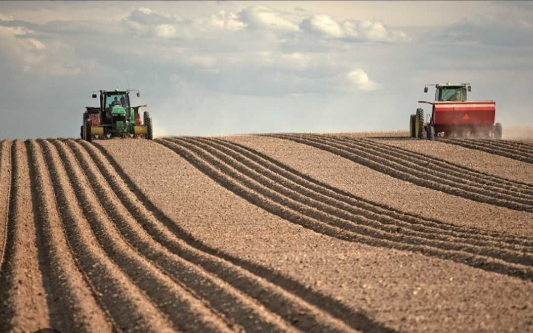 10 ha Teren Agricol