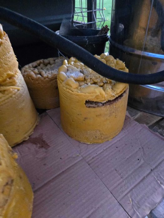 Ceara naturala de albine