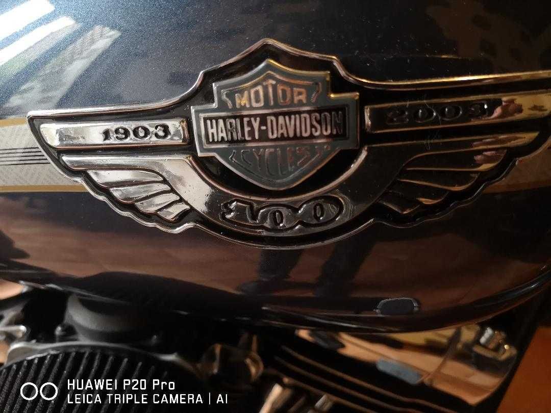 Vand Harley Davidson,Softail Springer, 100th Anniversary