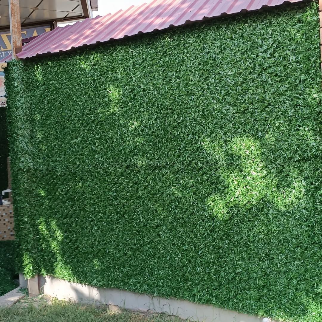 Suniyzabor #green