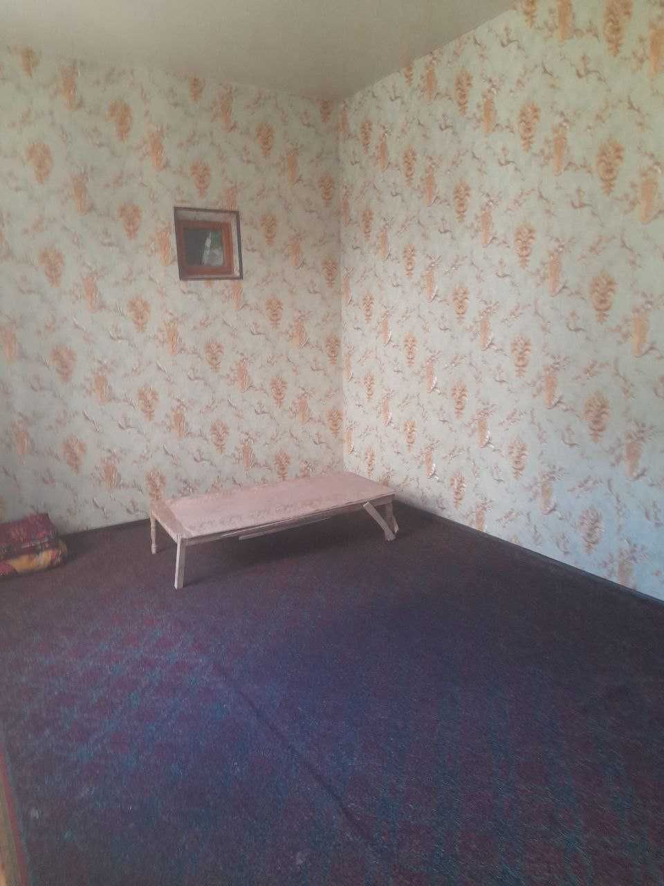 Хасанбой   Зенит   учаска