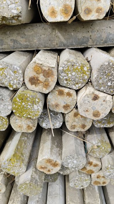 Stolpi beton semirotunzi