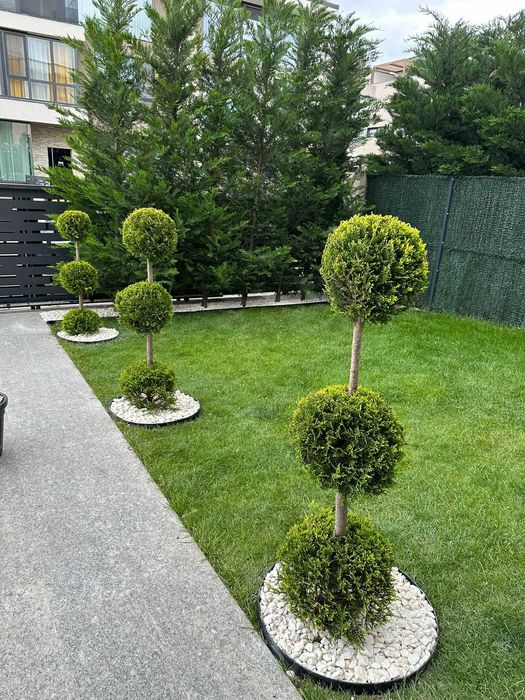 Spirale peisagistice – Eleganță care durează în timp