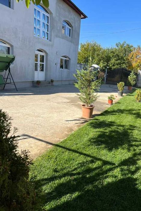 Gazon Rulou Sport / Premium