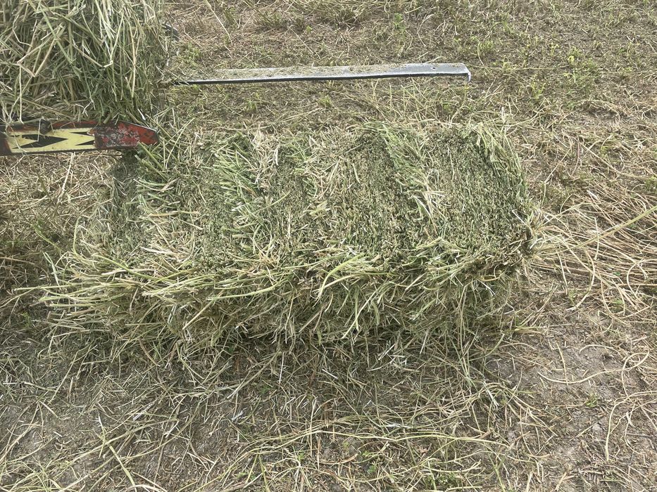 Сено люцерна 3 укос