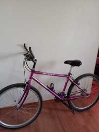 Bicicleta Scott Shimano 26