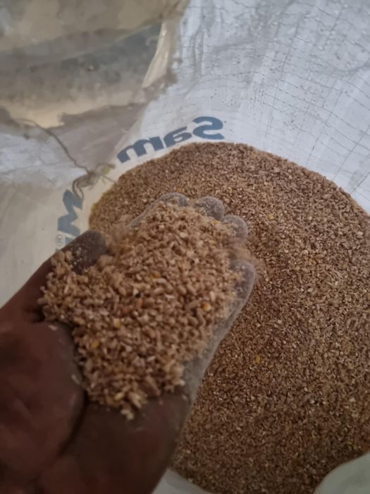 Furaj compos din triticale grau si porumb