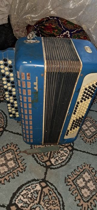 Akkardeon sifati zor
